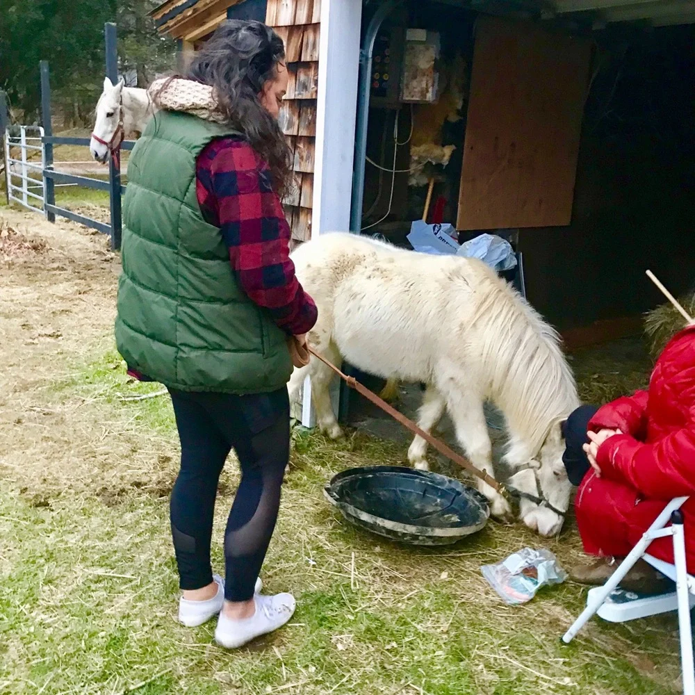 Hunter Green Fleece Lined Vest w Zipper - Picture 4 of 4